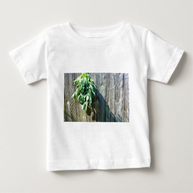Frischholz Baby T-shirt (Vorderseite)