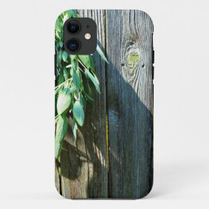 Frischholz Case-Mate iPhone Hülle