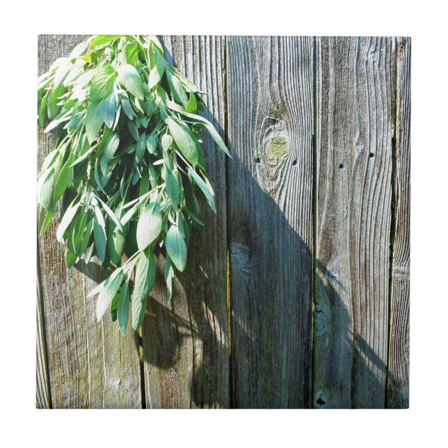 Frischholz Fliese (Vorderseite)