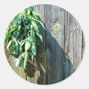 Frischholz Runder Aufkleber