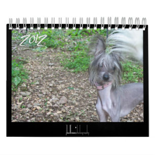 Frischhunde-Kalender 2012 Kalender