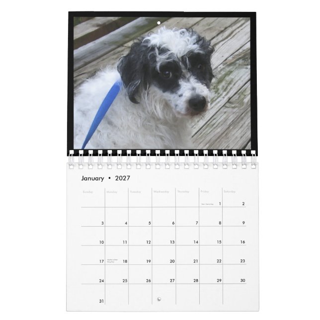 Frischhunde-Kalender 2012 Kalender (Jan 2027)