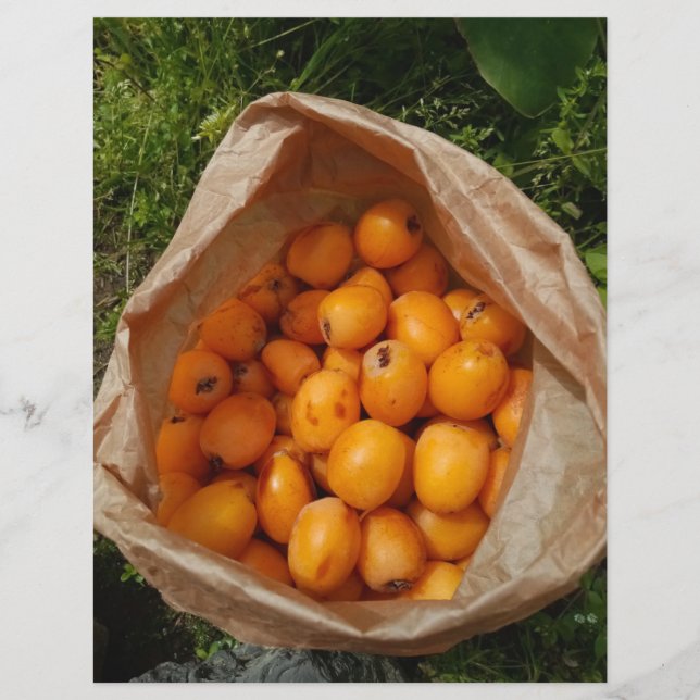 Frischloquette Flyer (Vorne)