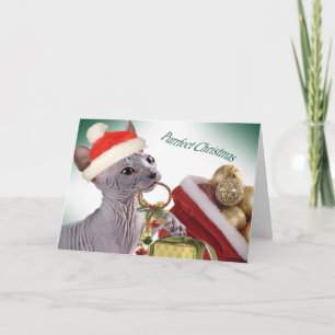 Frischlose Sphynx Weihnachtskarten Feiertagskarte