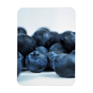 Frischreife Blaubeeren Magnet