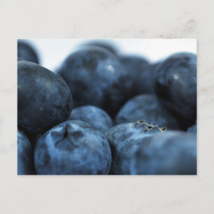 Frischreife Blaubeeren Postkarte