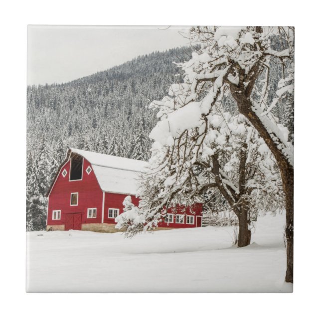 Frischschnee auf roter Scheune Fliese (Vorderseite)