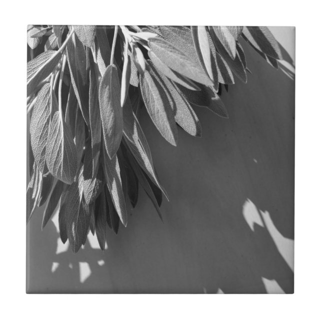 Frischschnitt Fliese (Vorderseite)