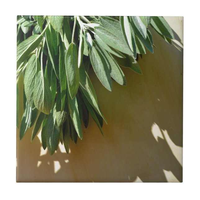 Frischschnitt Fliese (Vorderseite)