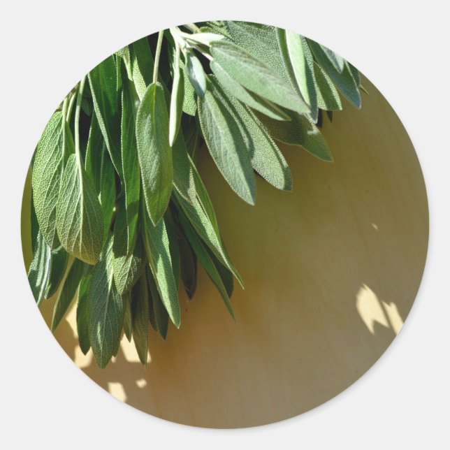 Frischschnitt Runder Aufkleber (Vorderseite)