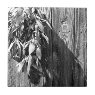 Frischschnitzel-Schnittholz-Graustufen Fliese