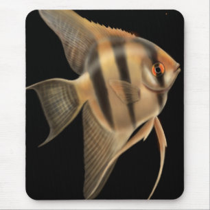 FrischwasserAngelfish Mousepad
