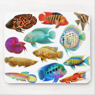 Frischwasseraquarium-Fische Mousepad