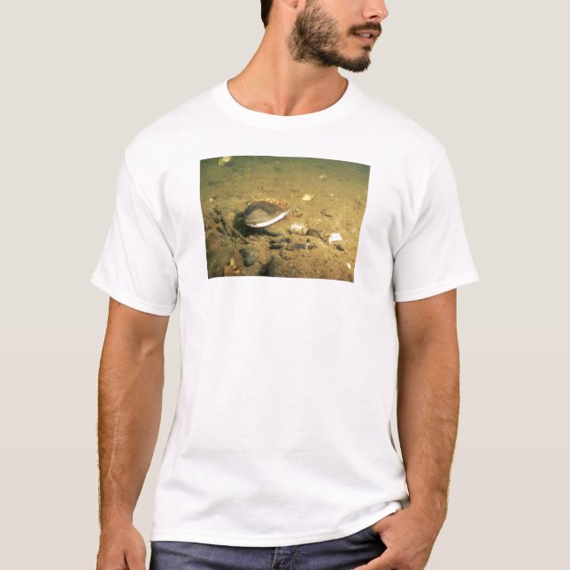 Frischwassermiesmuschel T-Shirt (Vorderseite)