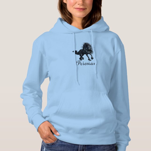 Frisisches Pferd, schwarzer Schönheitshengst Hoodie (Vorderseite)