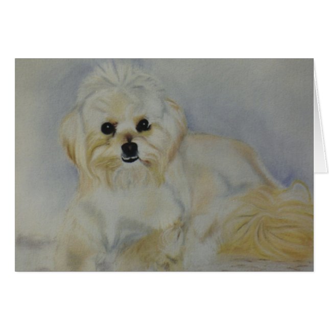 Frisky (Vorderseite (Horizontal))