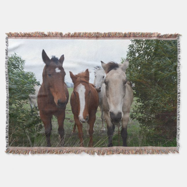 Frisky Hair, Four Horse Pals, Decke (Vorderseite)