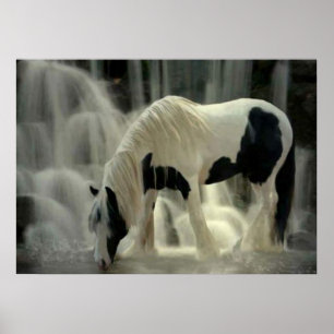 Frison, Papier-Plakat (matt) Poster