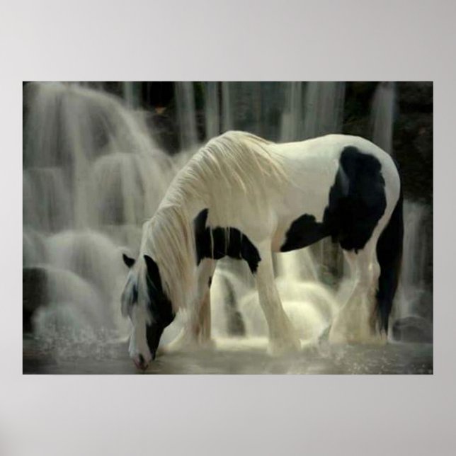 Frison, Papier-Plakat (matt) Poster (Vorne)