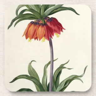 Fritillaria Imperialis von, "Les Lilacees", 1802- Untersetzer