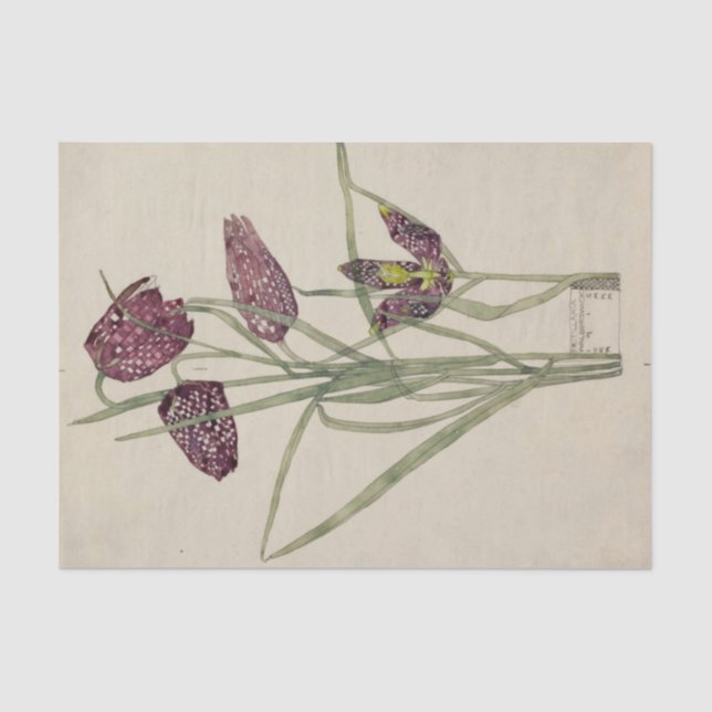 Fritillaria von Charles Mackintosh Seidenpapier (Vorderseite)