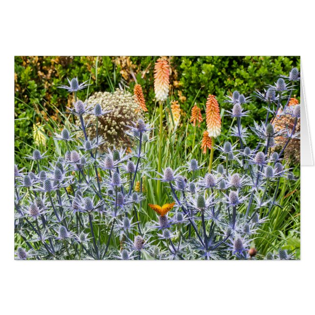 Fritillary Butterfly im Sommergarten (Vorderseite (Horizontal))
