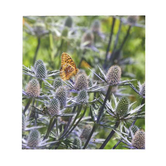 Fritillary Butterfly On Blue Thistle Notizblock (Vorderseite)