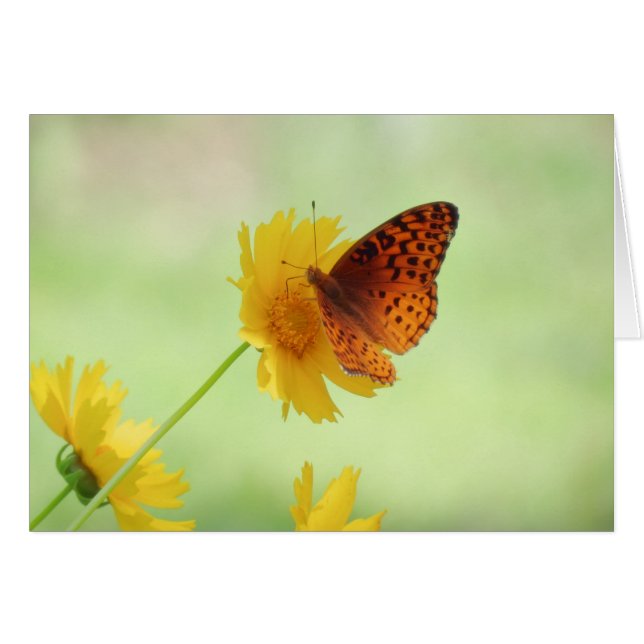 Fritillary Fun - Schmetterling (Vorderseite (Horizontal))