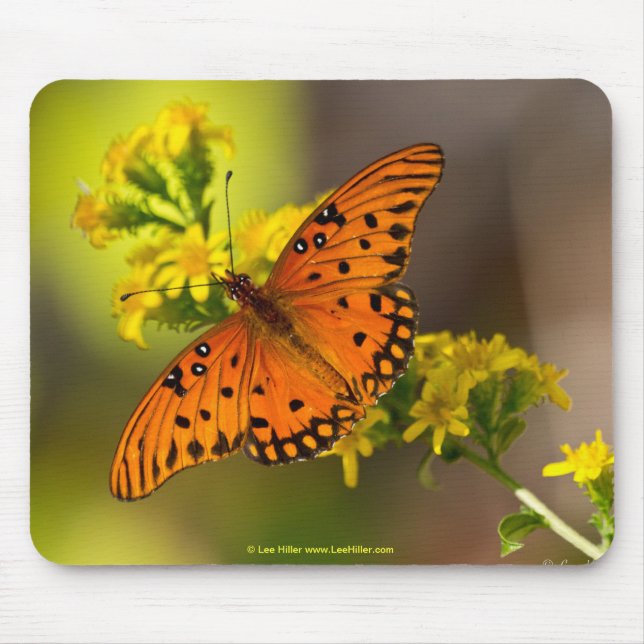Fritillary Gulf Butterfly Geschenke und Bekleidung Mousepad (Vorne)