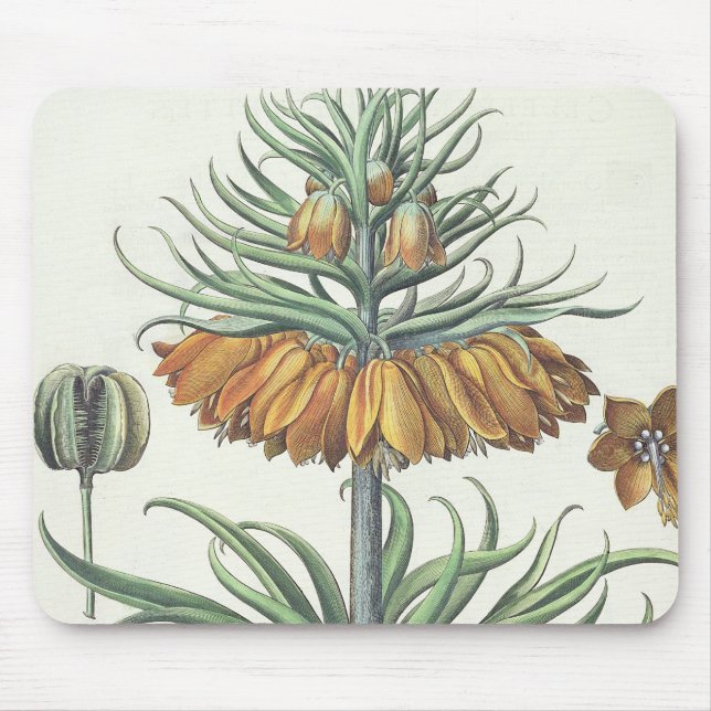 Fritillary: Korona Imperialis florum classe duplic Mousepad (Vorne)