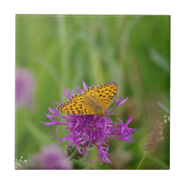 Fritillary-Schmetterlings-Keramik-Fliese Fliese