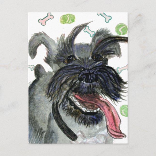 FRITZ POSTKARTE (Vorderseite)