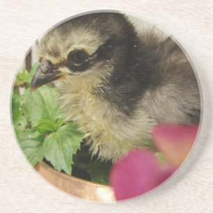 Frizzle Chick Getränkeuntersetzer