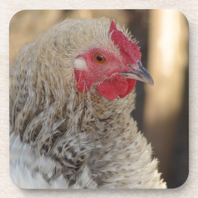 Frizzle Rooster Getränkeuntersetzer (Vorderseite)