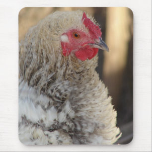 Frizzle Rooster Mousepad