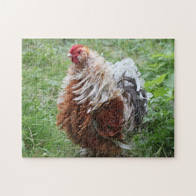 Frizzle Sizzle Fluffy Rooster im Gras Puzzle (Horizontal)