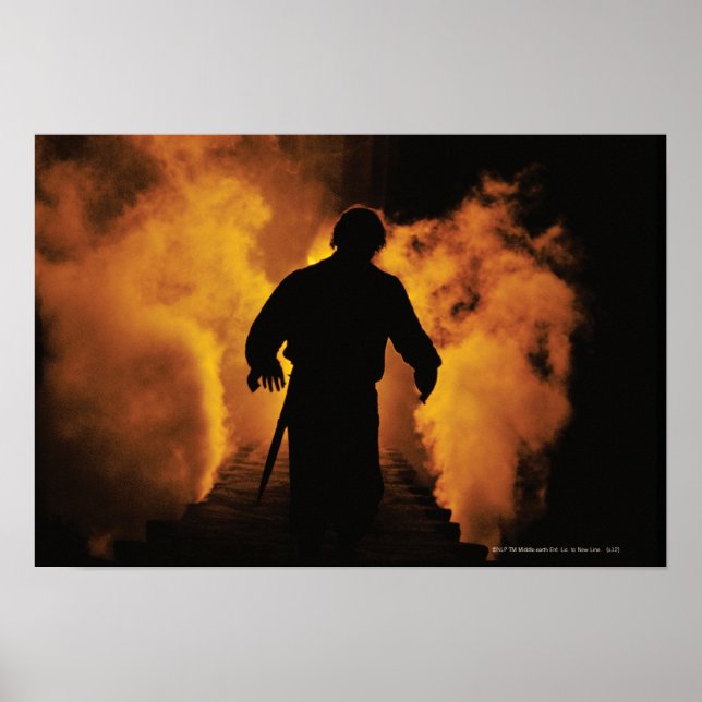 FRODO™ beim Untergang des Berges Poster (Vorne)