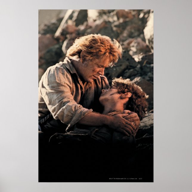 FRODO™ in Samwise-Armen Poster (Vorne)