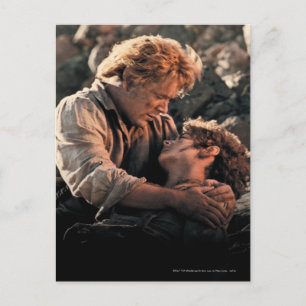 FRODO™ in Samwise's Arms Postkarte