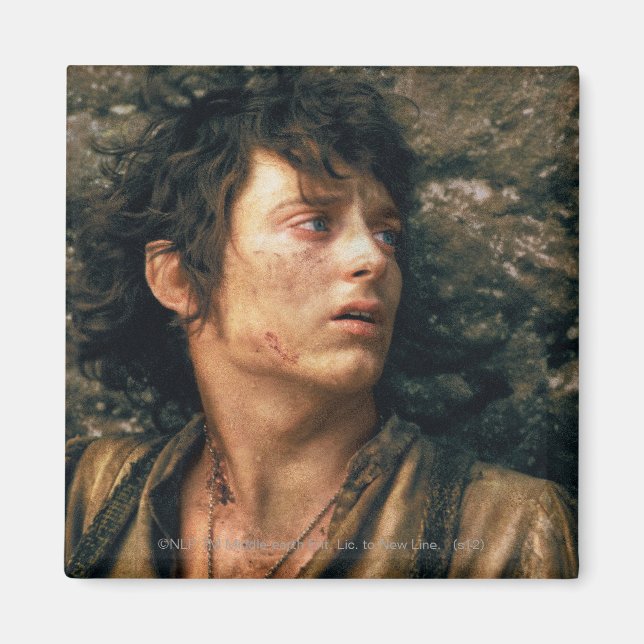 FRODO™ in Verzweiflung Magnet (Vorne)