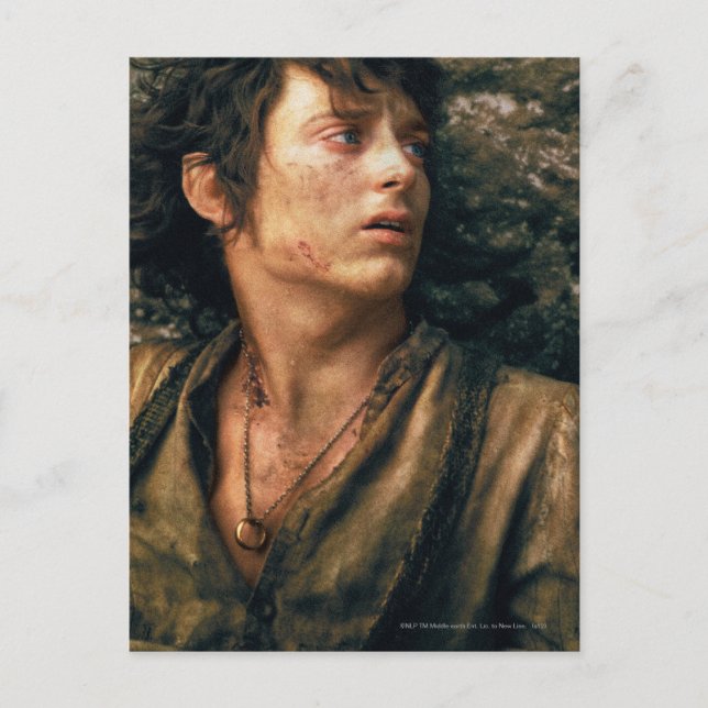 FRODO™ in Verzweiflung Postkarte (Vorderseite)