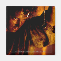 FRODO™-Stadien am Ring