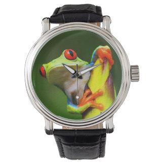Frog 2 Watch & Numerale Optionen Armbanduhr