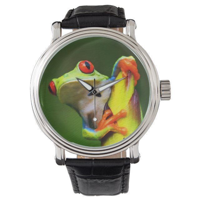 Frog 2 Watch & Numerale Optionen Armbanduhr (Vorderseite)