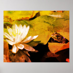 Frog Admiring Water Lily Abstract Grunge Poster