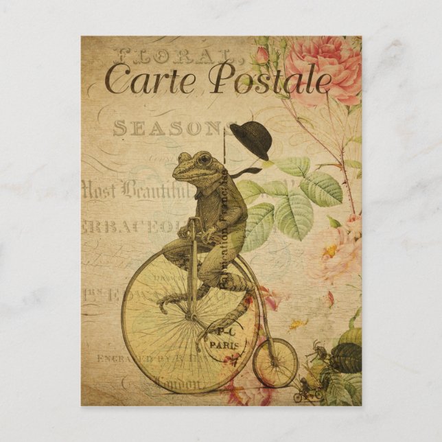 Frog auf dem Fahrrad Vintag französische Postkarte (Vorderseite)