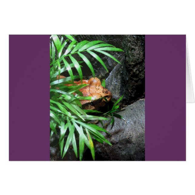 Frog CB Grußkarte verstecken (Vorderseite (Horizontal))