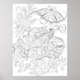 Frog drawing adult colouring poster