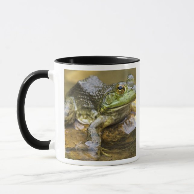 Frog entlang des Buffalo River, Mile 126 auf der Tasse (Links)