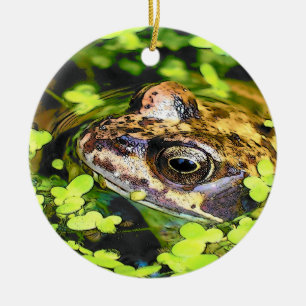 FROG KERAMIK ORNAMENT